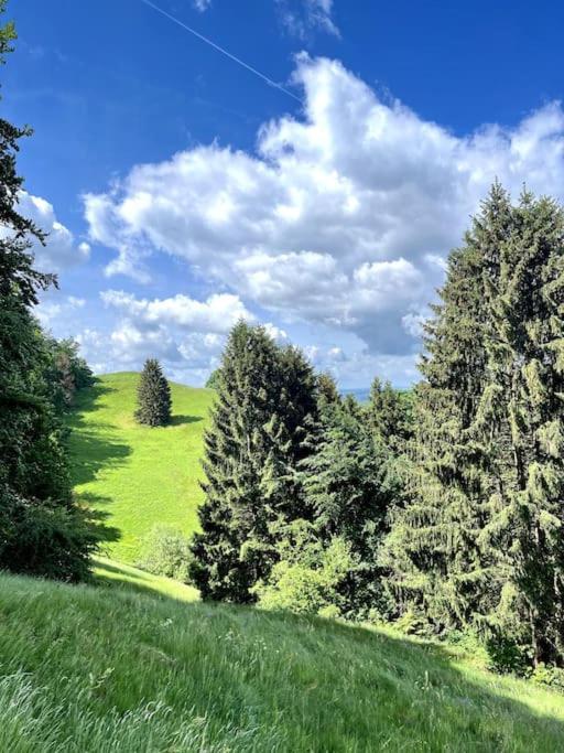 Ferienwohnung Am Hang Mit Malerischer Aussicht Osterode am Harz المظهر الخارجي الصورة